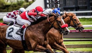 5 consejos para empezar a apostar en las carreras de caballos